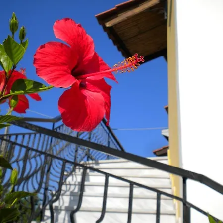 Ostria's House