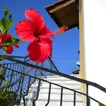 Ostria's House