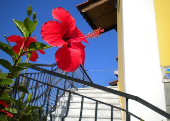 Ostria's House